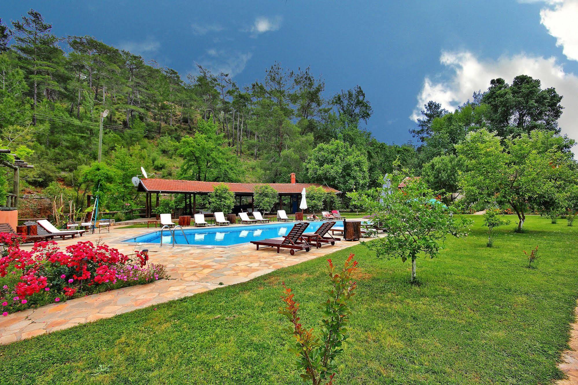 Dalya Life Hotel เกอเจค ภายนอก รูปภาพ
